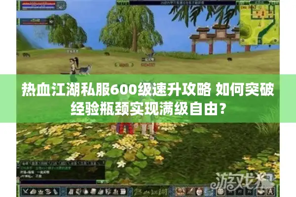 热血江湖私服600级速升攻略 如何突破经验瓶颈实现满级自由？