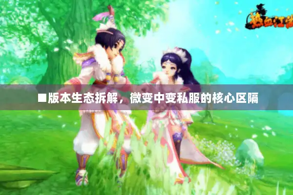■版本生态拆解，微变中变私服的核心区隔