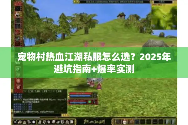 宠物村热血江湖私服怎么选？2025年避坑指南+爆率实测
